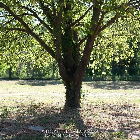 Horti Della Fasanara בית כפרי