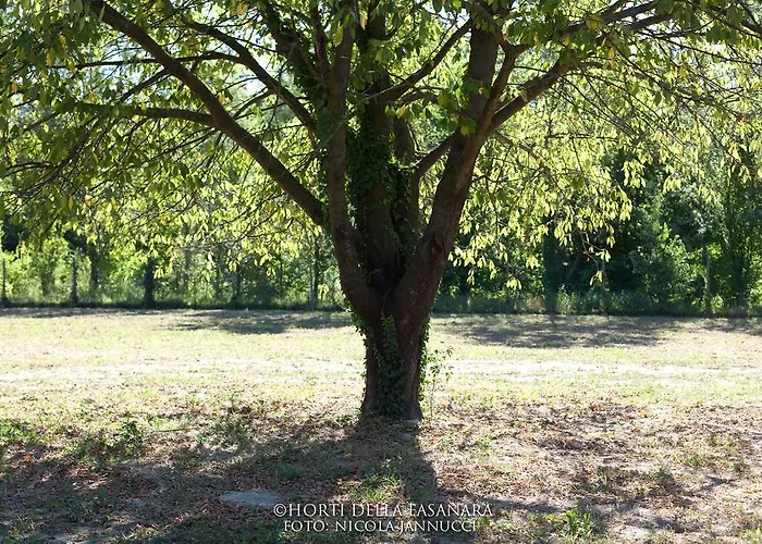Horti Della Fasanara カントリーハウス