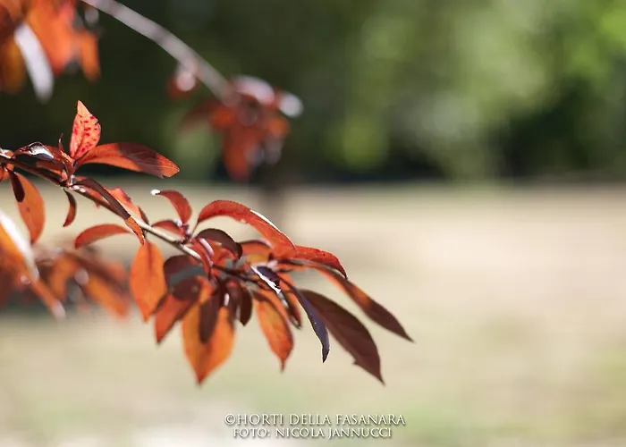 Horti Della Fasanara Ferrara